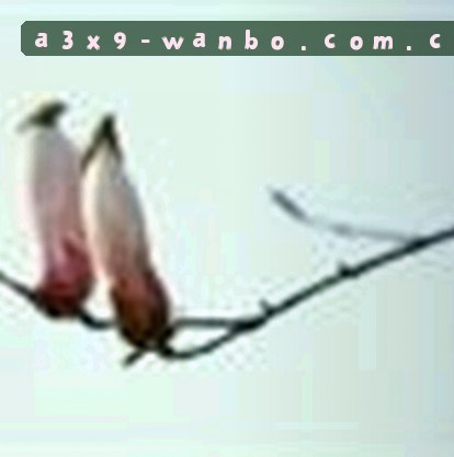吴倩